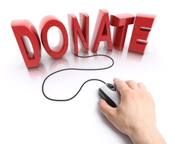 Make 2013 the year online giving takes off for your nonprofit.