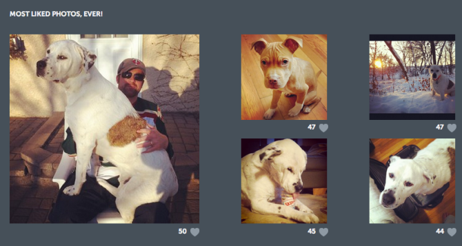 Statigram tells you which of your Instagram photos have received the most likes.